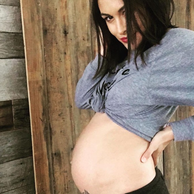 Brie Bella, Instagram